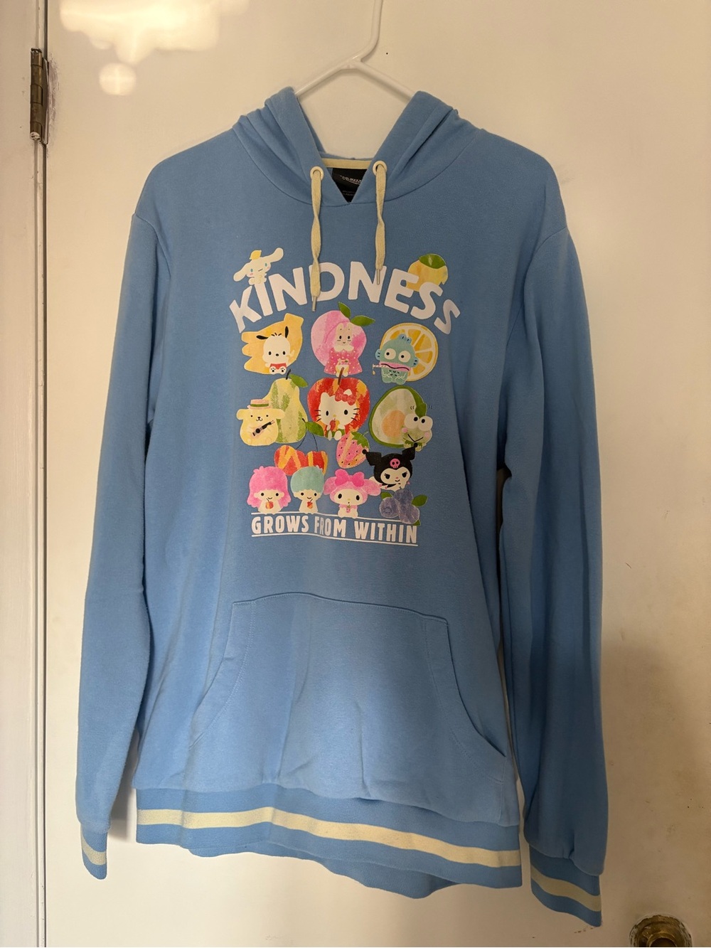 Sanrio Hello Kitty and Friends Hoodie Size L